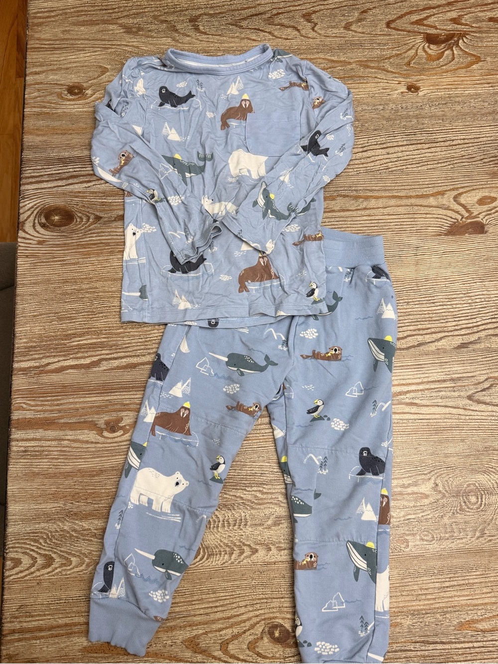 Little Sleepies Long Sleeve Arctic Animal Play Set